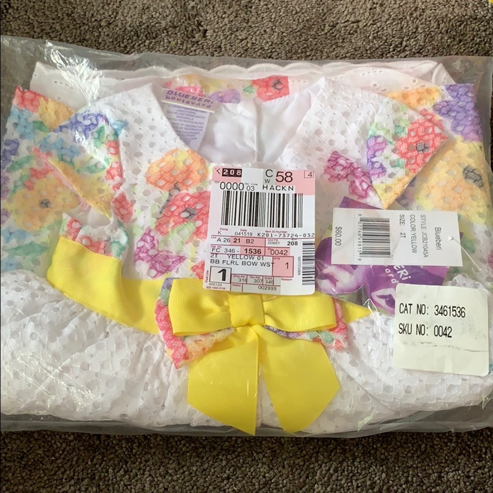 Easter BluBeri Dress